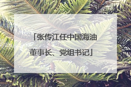 张传江任中国海油董事长、党组书记