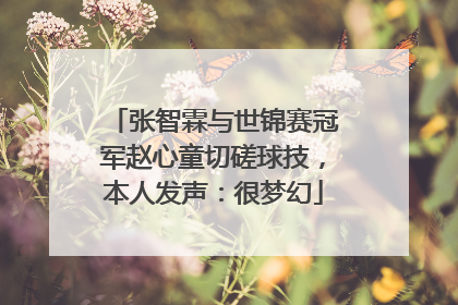 张智霖与世锦赛冠军赵心童切磋球技，本人发声：很梦幻