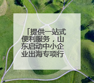 提供一站式便利服务，山东启动中小企业出海专项行动