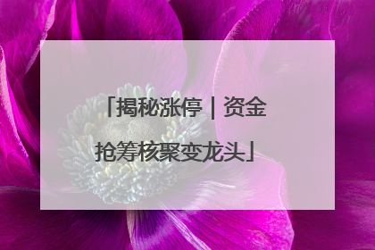 揭秘涨停｜资金抢筹核聚变龙头