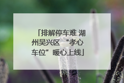 排解停车难 湖州吴兴区 “孝心车位”暖心上线