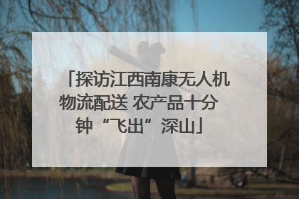 探访江西南康无人机物流配送 农产品十分钟“飞出”深山