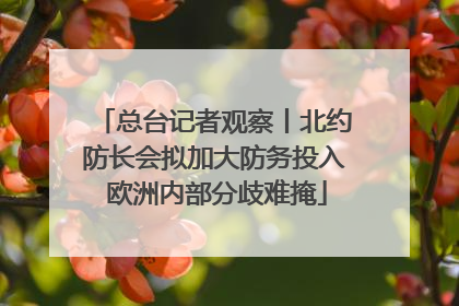 总台记者观察丨北约防长会拟加大防务投入 欧洲内部分歧难掩