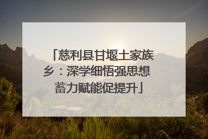 慈利县甘堰土家族乡：深学细悟强思想 蓄力赋能促提升