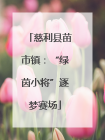 慈利县苗市镇：“绿茵小将”逐梦赛场