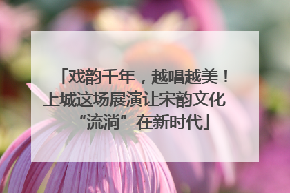 戏韵千年，越唱越美！上城这场展演让宋韵文化“流淌”在新时代