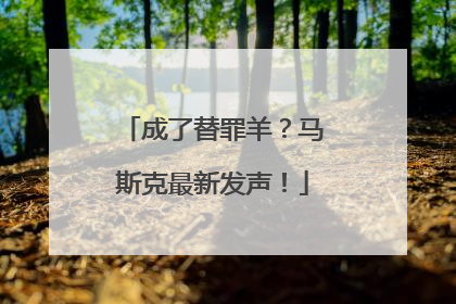 成了替罪羊？马斯克最新发声！