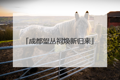 成都望丛祠焕新归来