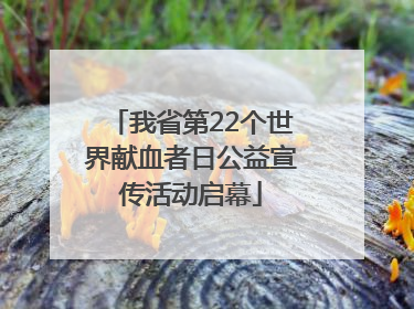 我省第22个世界献血者日公益宣传活动启幕