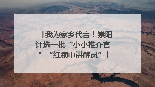 我为家乡代言！崇阳评选一批“小小推介官”“红领巾讲解员”
