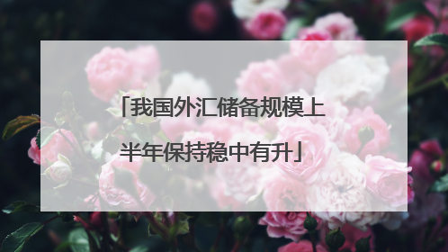 我国外汇储备规模上半年保持稳中有升