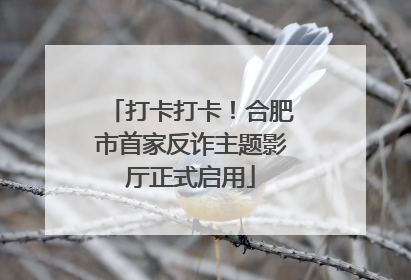 打卡打卡！合肥市首家反诈主题影厅正式启用