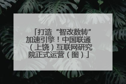 打造“智改数转”加速引擎！中国联通（上饶）互联网研究院正式运营（图）