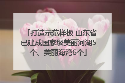 打造示范样板 山东省已建成国家级美丽河湖5个、美丽海湾6个