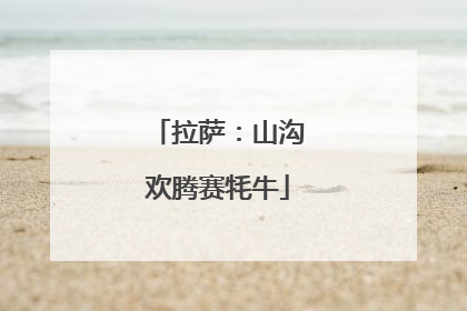拉萨：山沟欢腾赛牦牛