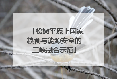 松嫩平原上国家粮食与能源安全的三峡融合示范