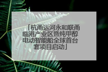 杭甬运河永和联甬临港产业区暨纯甲醇电动智能船全球首台套项目启动