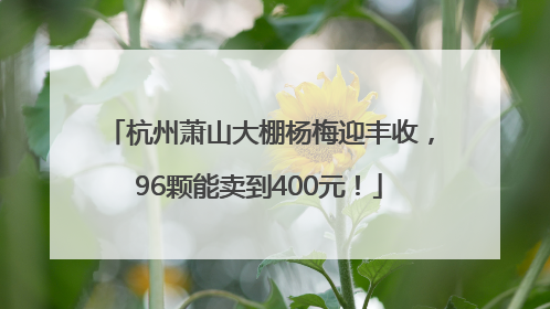杭州萧山大棚杨梅迎丰收，96颗能卖到400元！