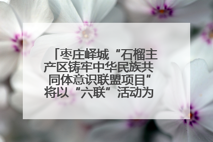 枣庄峄城“石榴主产区铸牢中华民族共同体意识联盟项目”将以“六联”活动为抓手深化品牌建设