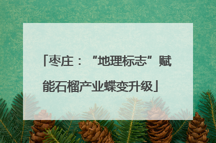 枣庄：“地理标志”赋能石榴产业蝶变升级