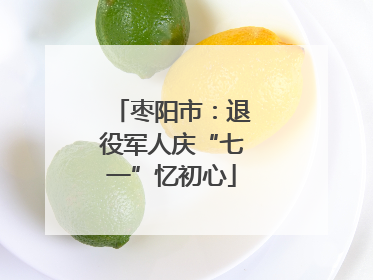 枣阳市：退役军人庆“七一”忆初心