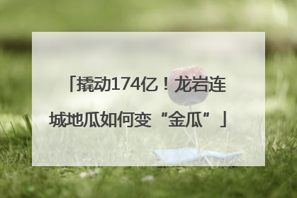 撬动174亿！龙岩连城地瓜如何变“金瓜”