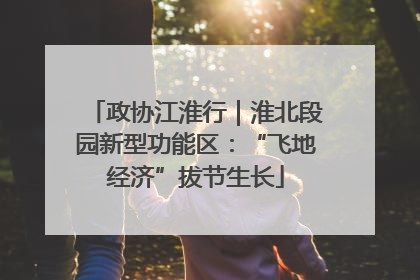 政协江淮行｜淮北段园新型功能区：“飞地经济”拔节生长
