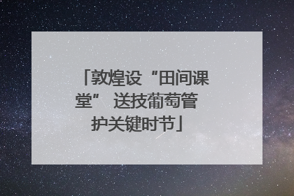 敦煌设“田间课堂” 送技葡萄管护关键时节