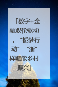 数字+金融双轮驱动，“栀梦行动”“浙”样赋能乡村振兴