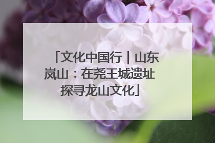 文化中国行｜山东岚山：在尧王城遗址探寻龙山文化
