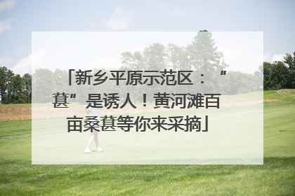 新乡平原示范区：“葚”是诱人！黄河滩百亩桑葚等你来采摘