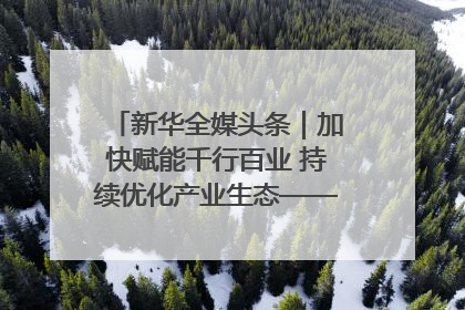 新华全媒头条｜加快赋能千行百业 持续优化产业生态——浙江推动人工智能健康有序发展观察