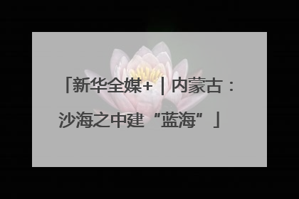 新华全媒+｜内蒙古：沙海之中建“蓝海”