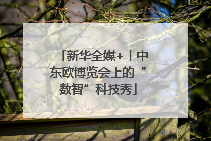 新华全媒+丨中东欧博览会上的“数智”科技秀