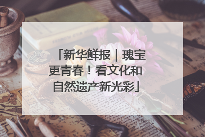 新华鲜报｜瑰宝更青春！看文化和自然遗产新光彩