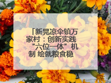 新晃凉伞镇万家村：创新实践“六位一体”机制 绘就粮食稳产增收新图景