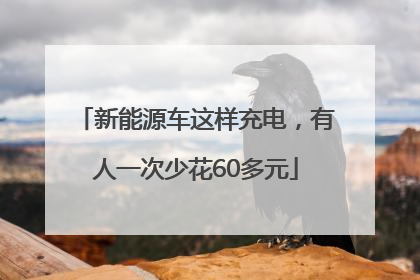 新能源车这样充电，有人一次少花60多元