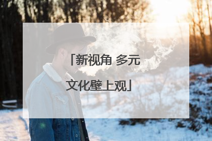 新视角 多元文化壁上观