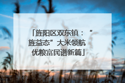 旌阳区双东镇：“旌益态”大米领航 优粮富民谱新篇