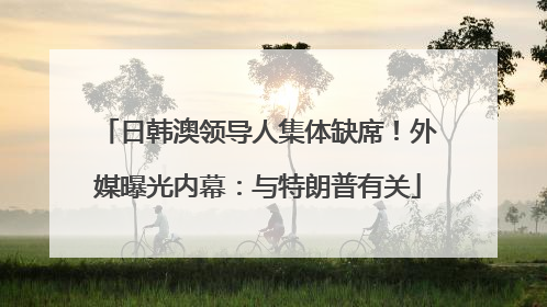 日韩澳领导人集体缺席！外媒曝光内幕：与特朗普有关