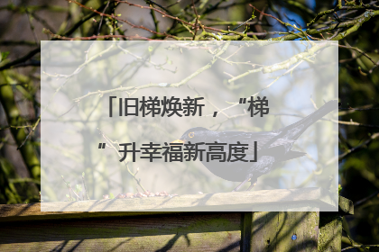 旧梯焕新，“梯”升幸福新高度