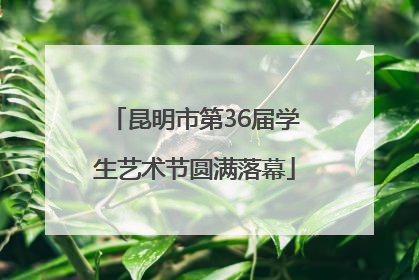 昆明市第36届学生艺术节圆满落幕