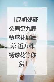 昆明郊野公园第九届绣球花展启幕 近万株绣球花等你赏