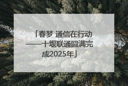 春梦 通信在行动——十堰联通圆满完成2025年