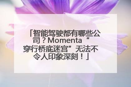 智能驾驶都有哪些公司？Momenta“穿行桥底迷宫”无法不令人印象深刻！