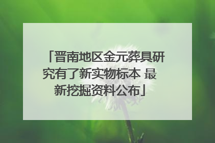 晋南地区金元葬具研究有了新实物标本 最新挖掘资料公布