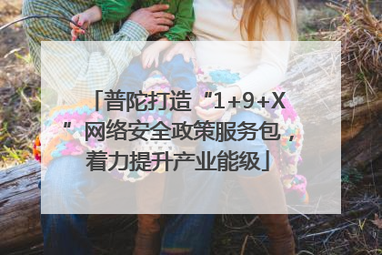 普陀打造“1+9+X”网络安全政策服务包，着力提升产业能级