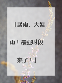 暴雨、大暴雨！最强时段来了！