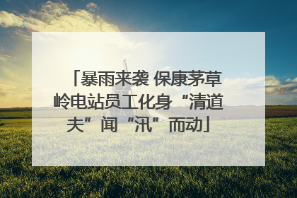 暴雨来袭 保康茅草岭电站员工化身“清道夫”闻“汛”而动