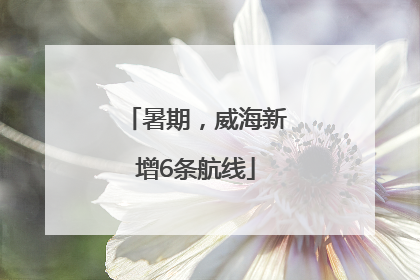 暑期，威海新增6条航线